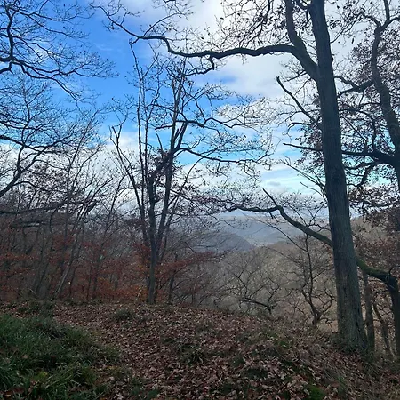 Burg Liebenstein Kamp-Bornhofen