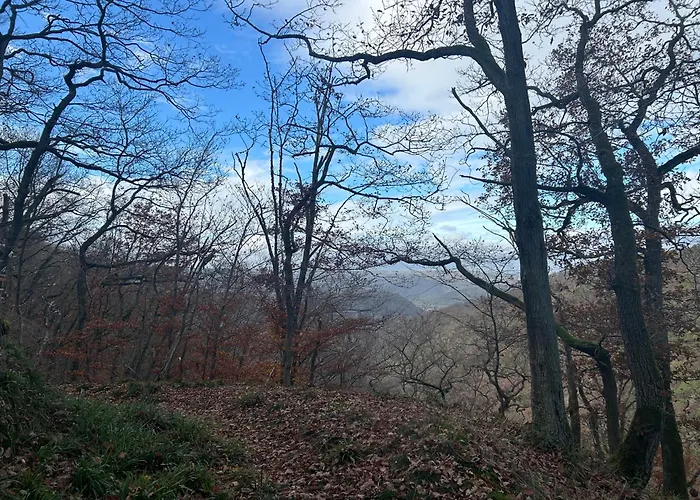 Burg Liebenstein Kamp-Bornhofen